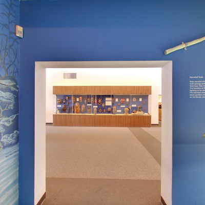 Sea Animals Gallery