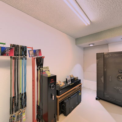Hollon Safes