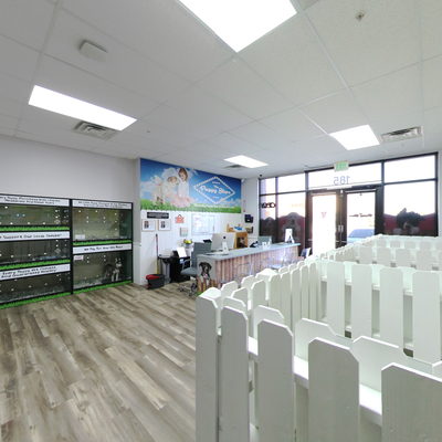 Pet Toys & Accessories Corner