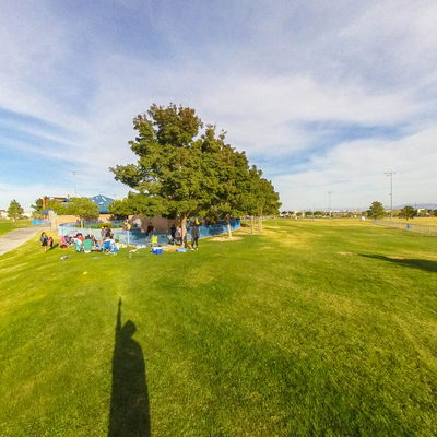 Soccer Field