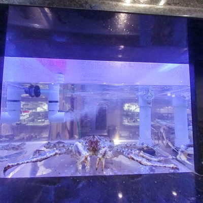 Live Seafood Aquarium