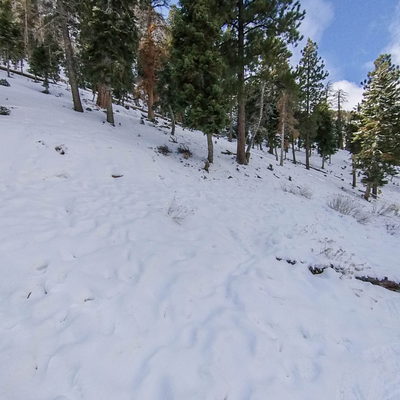 Walking Trail