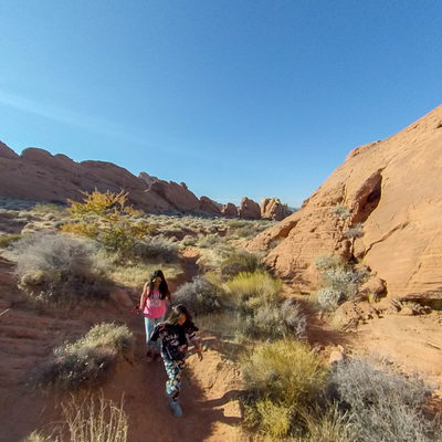 Walking Trail