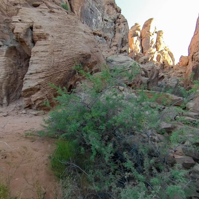 Hiking Trail