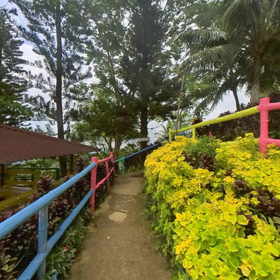 Bridge