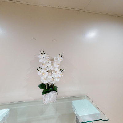 Wall