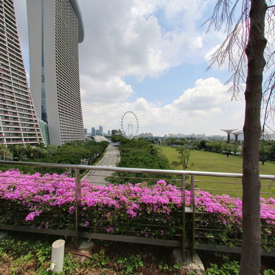 Pathway