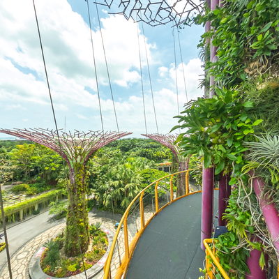 OCBC Skyway