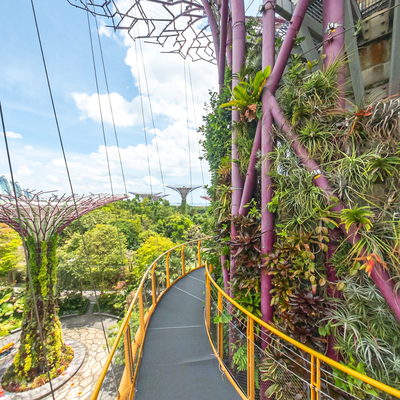 OCBC Skyway
