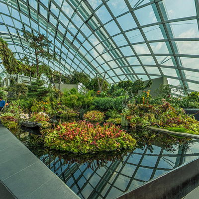 Lost World (Mountaintop)