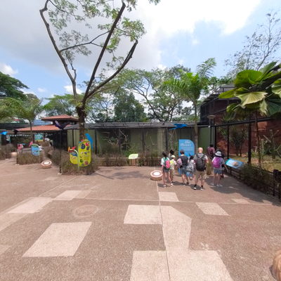 Parrot Paradise
