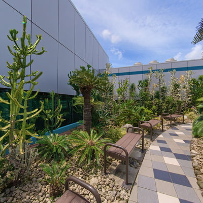 Pathway (Left)