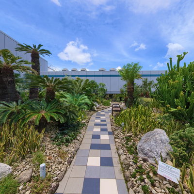 Pathway