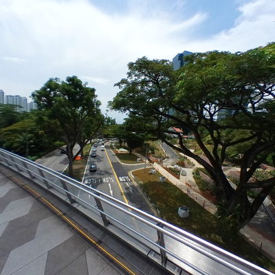 Foot Bridge
