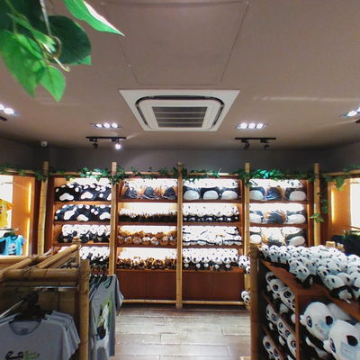 Souvenir Shop