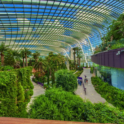 Australian Garden