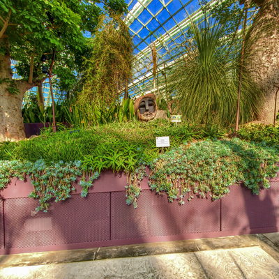 Succulent Garden