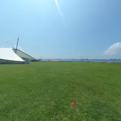 Green Roof
