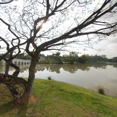 Lake