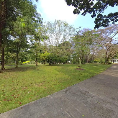 Jogging/Picnic Area