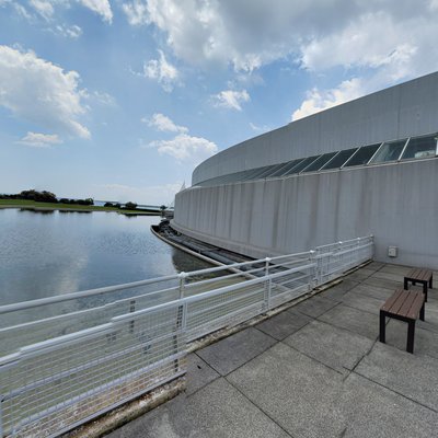 View Deck