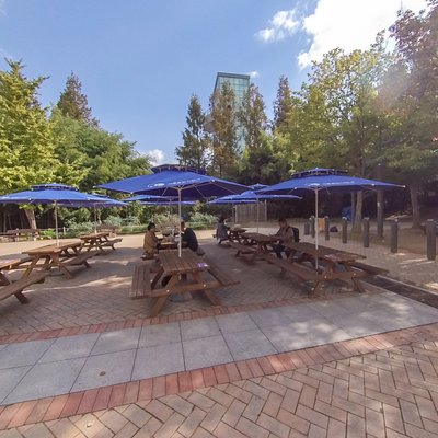 Picnic Areas
