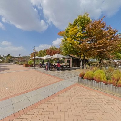 Picnic Areas