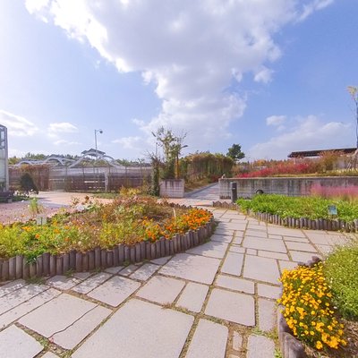 Butterfly Garden