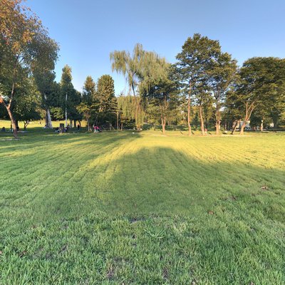 Grass Field