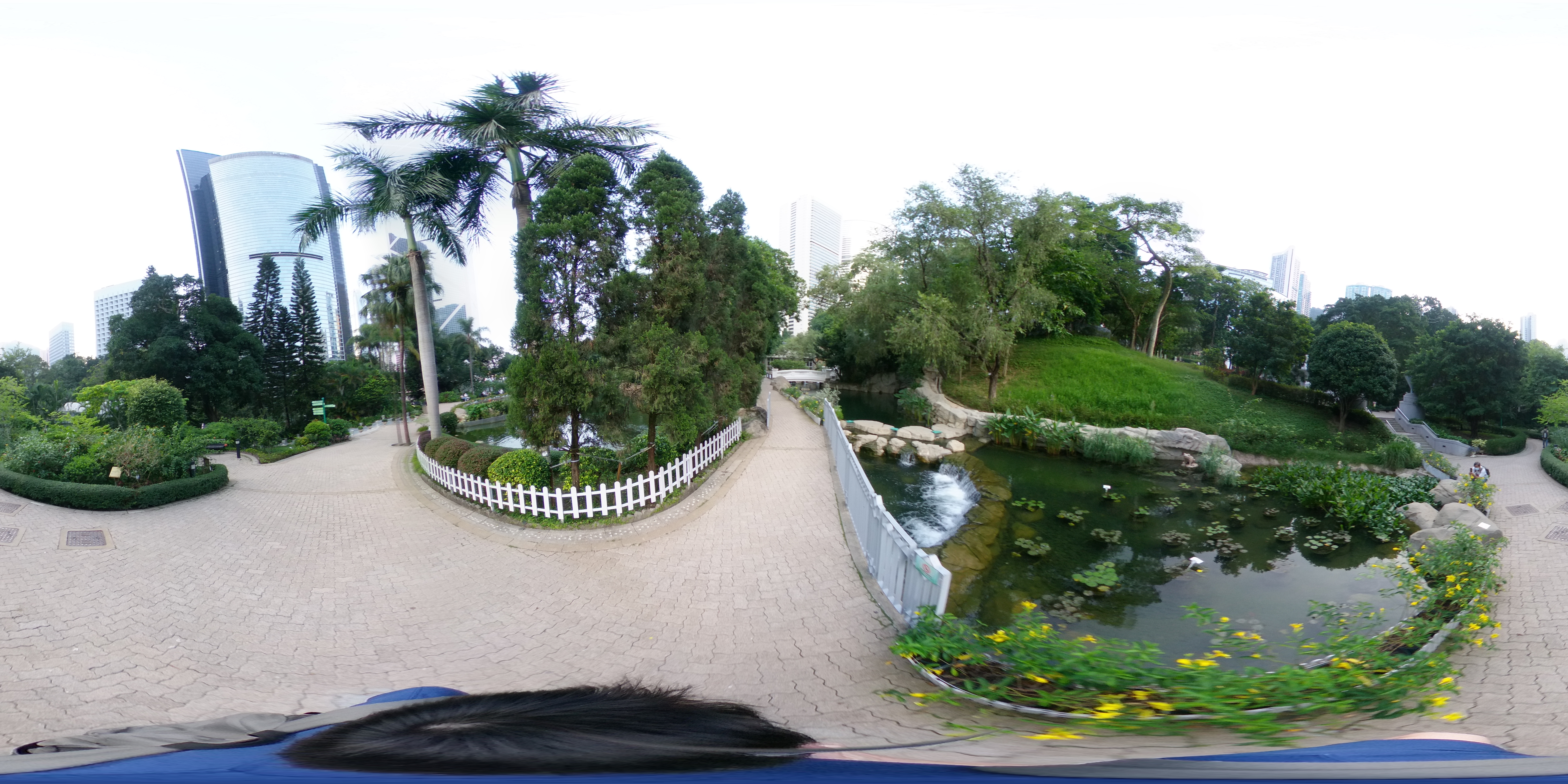 Pond 1