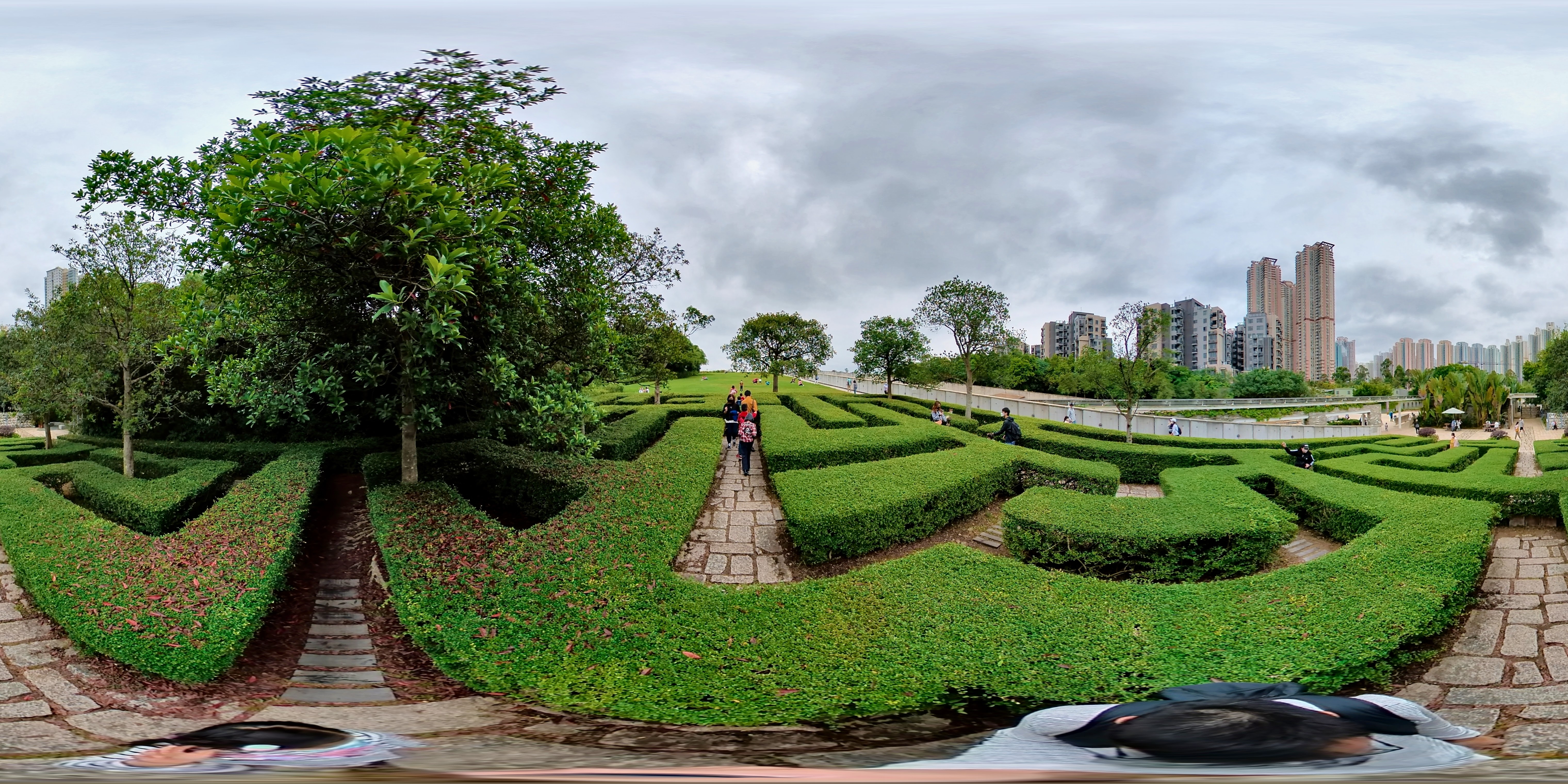 Maze