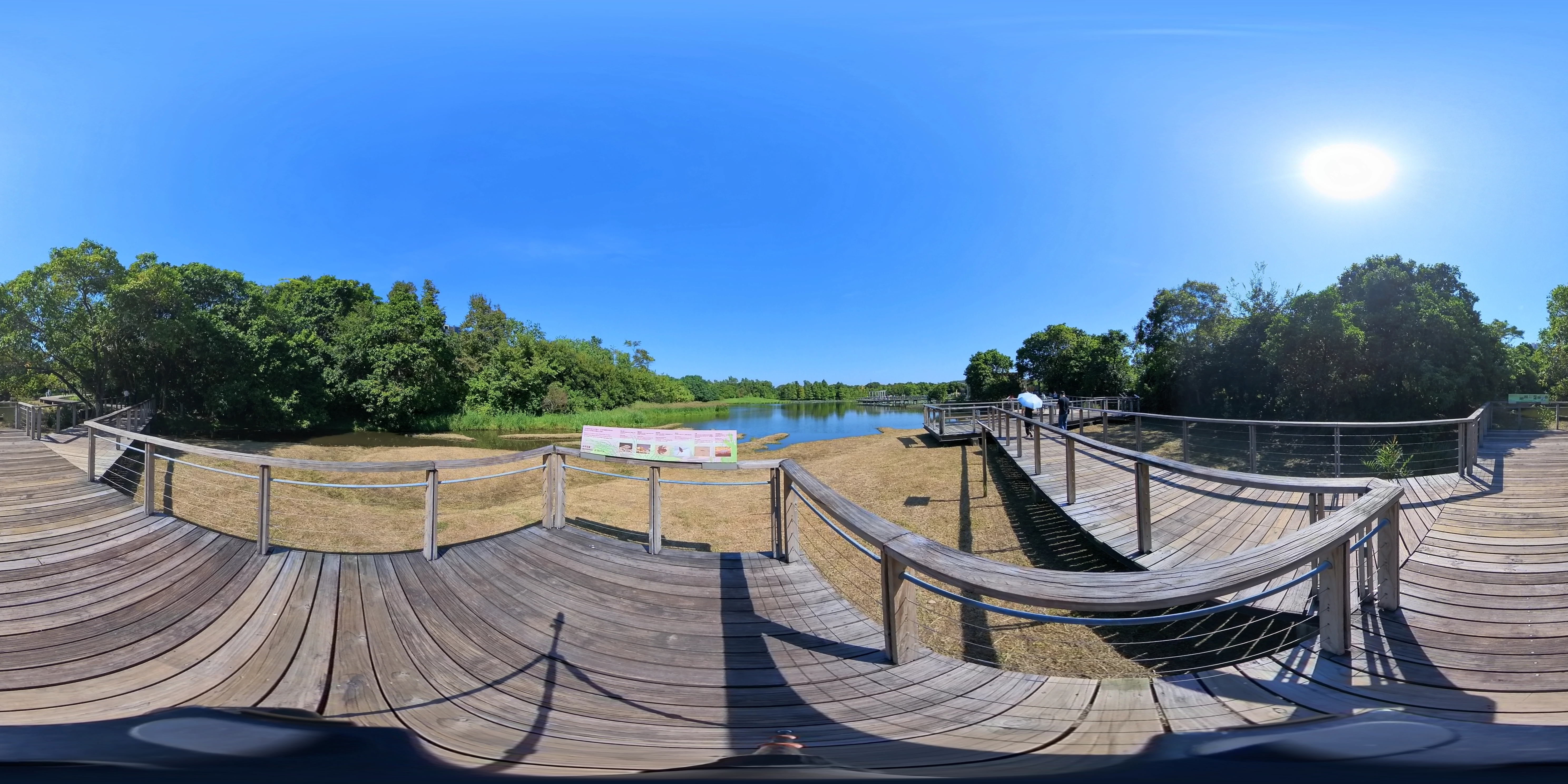 Tidal Pond