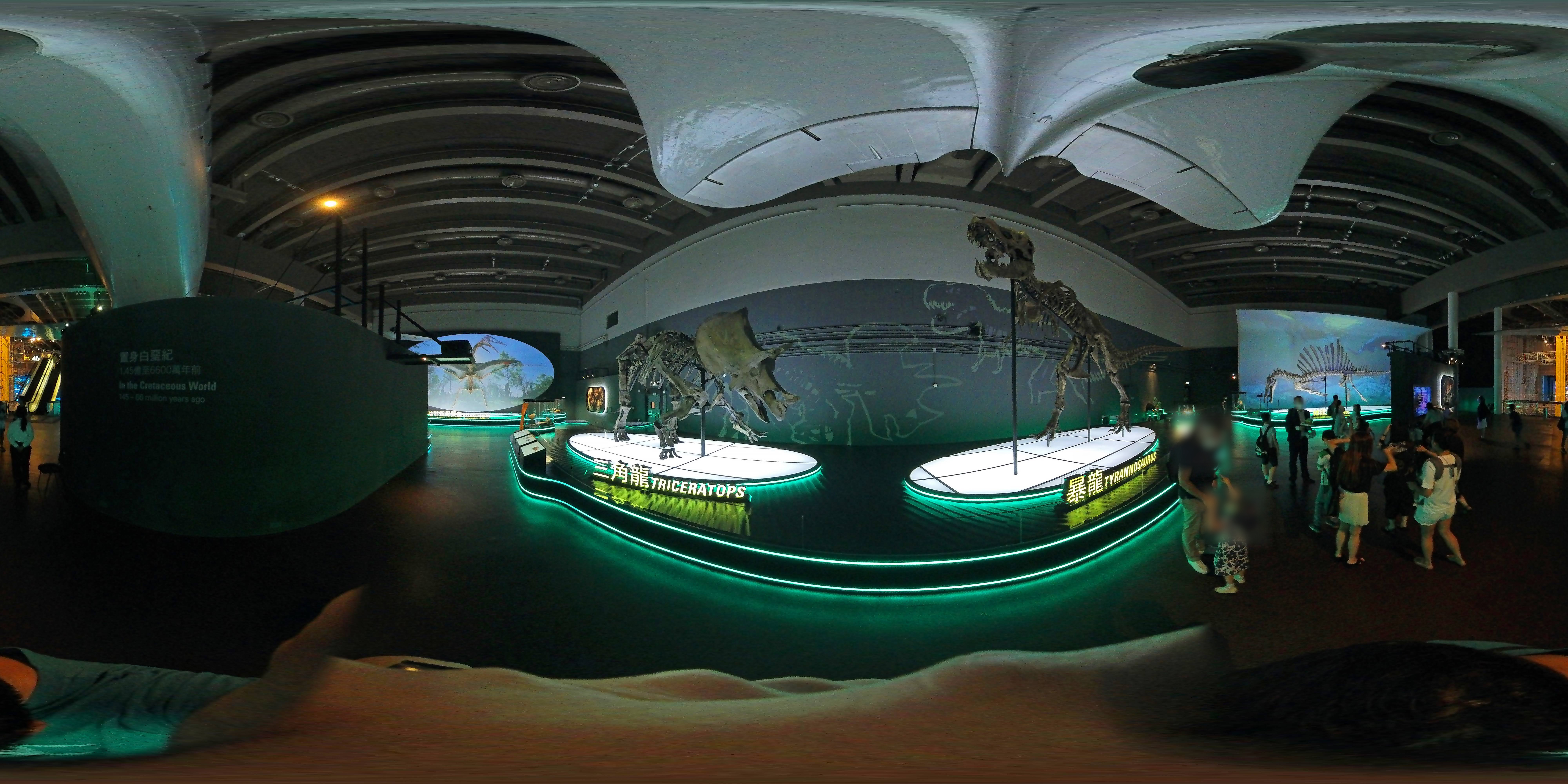 Dinosaur Exhibit