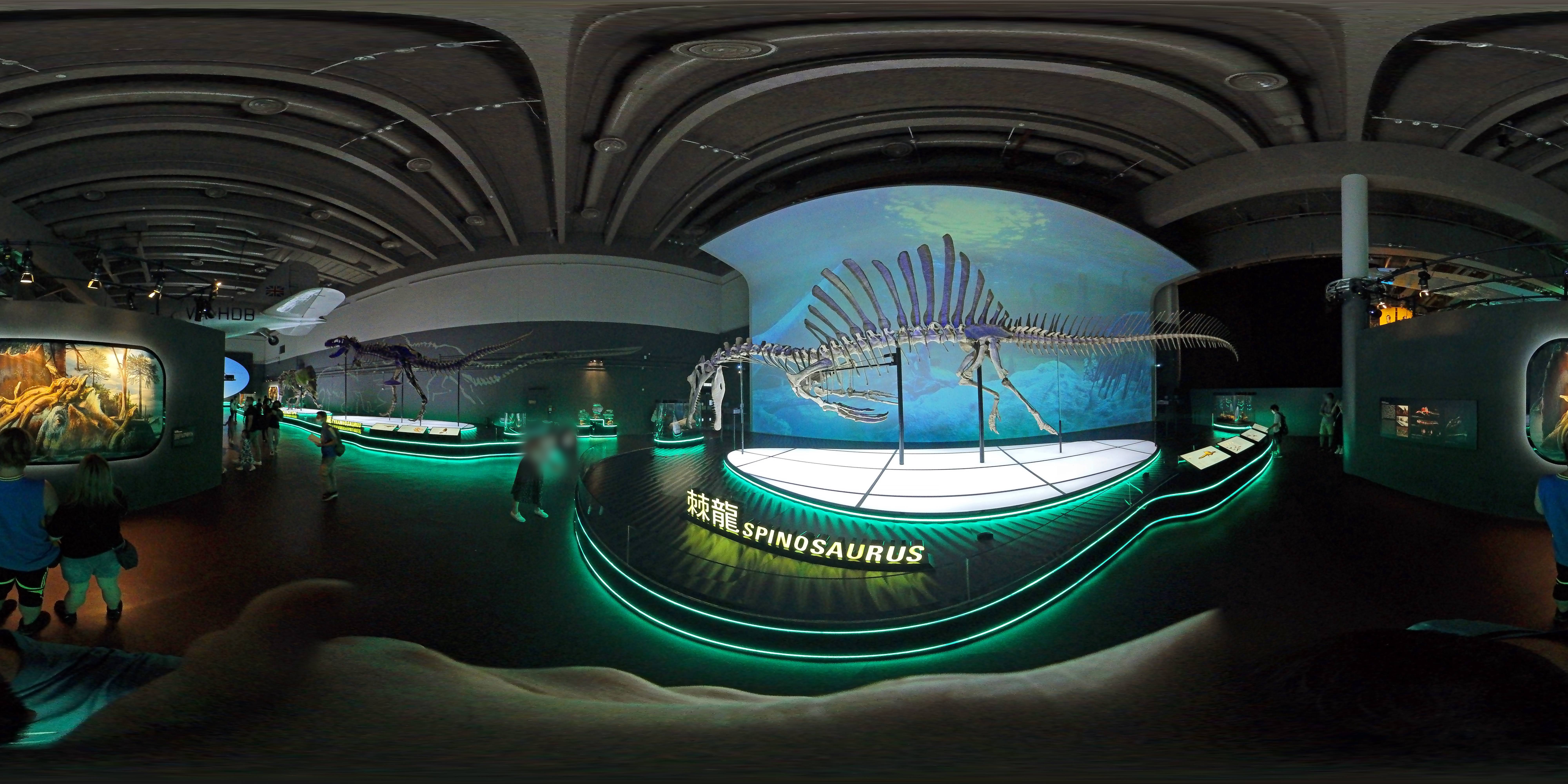 Dinosaur Exhibit