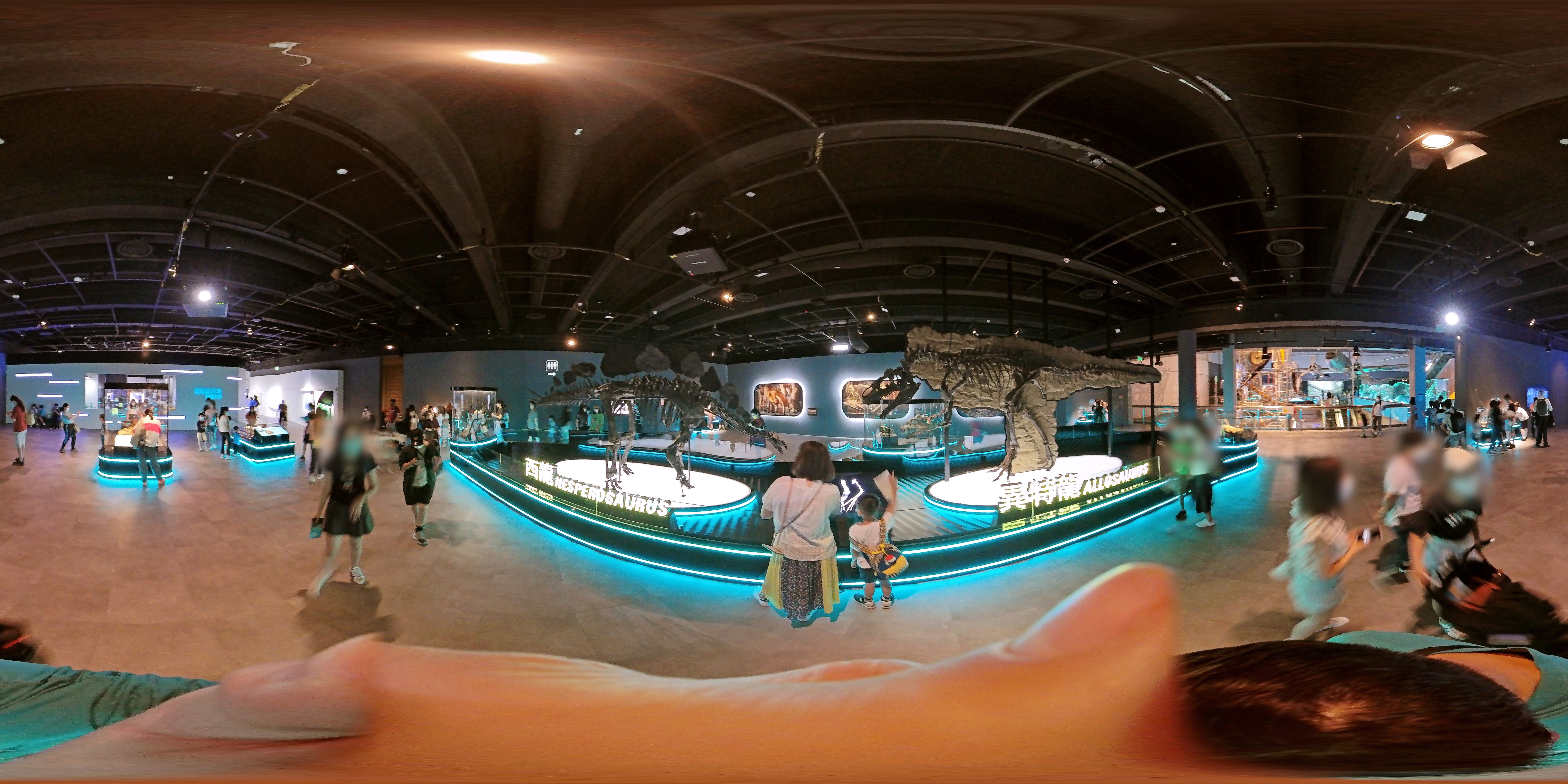 Dinosaur Exhibit