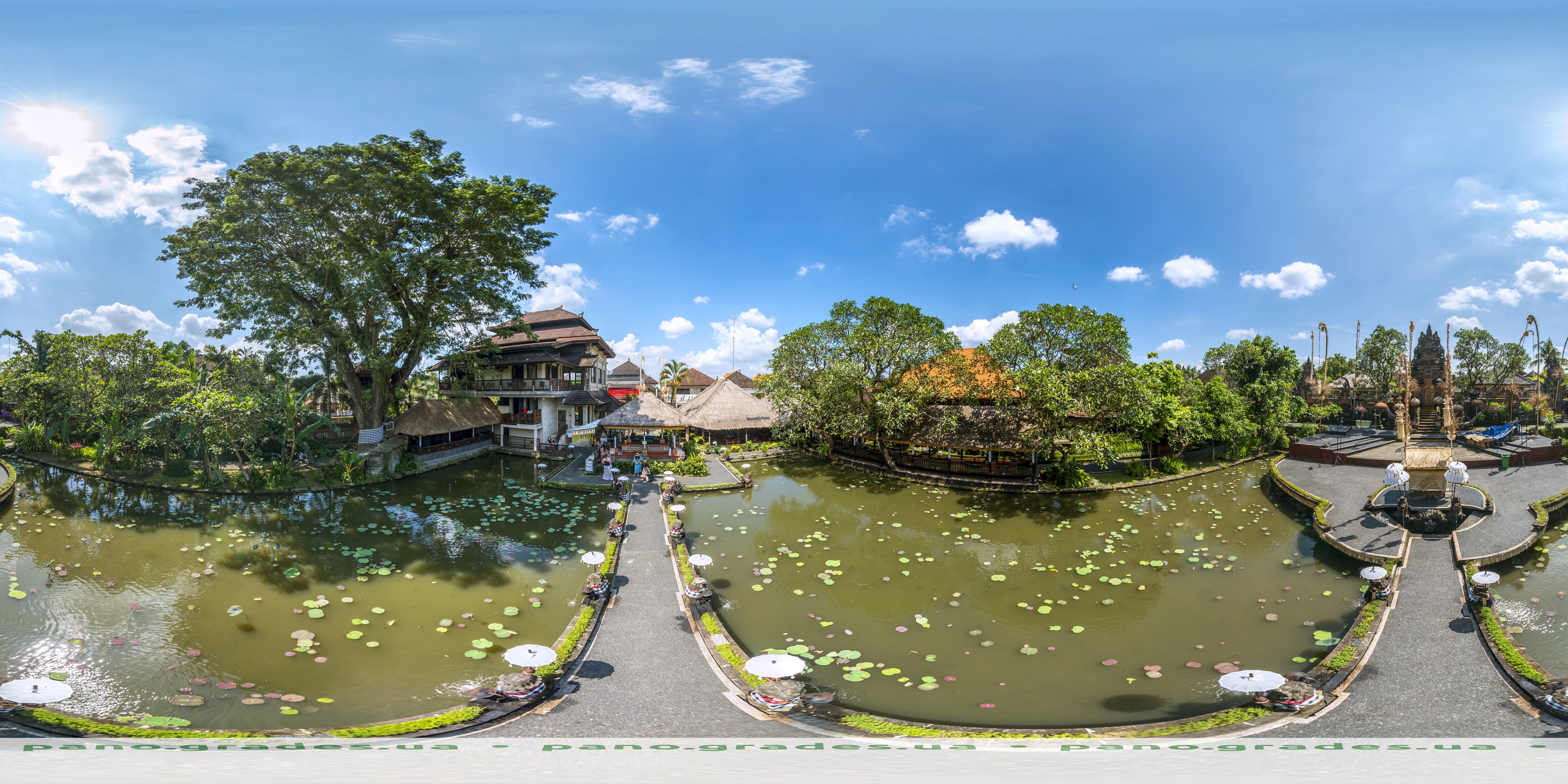 Lotus Pond