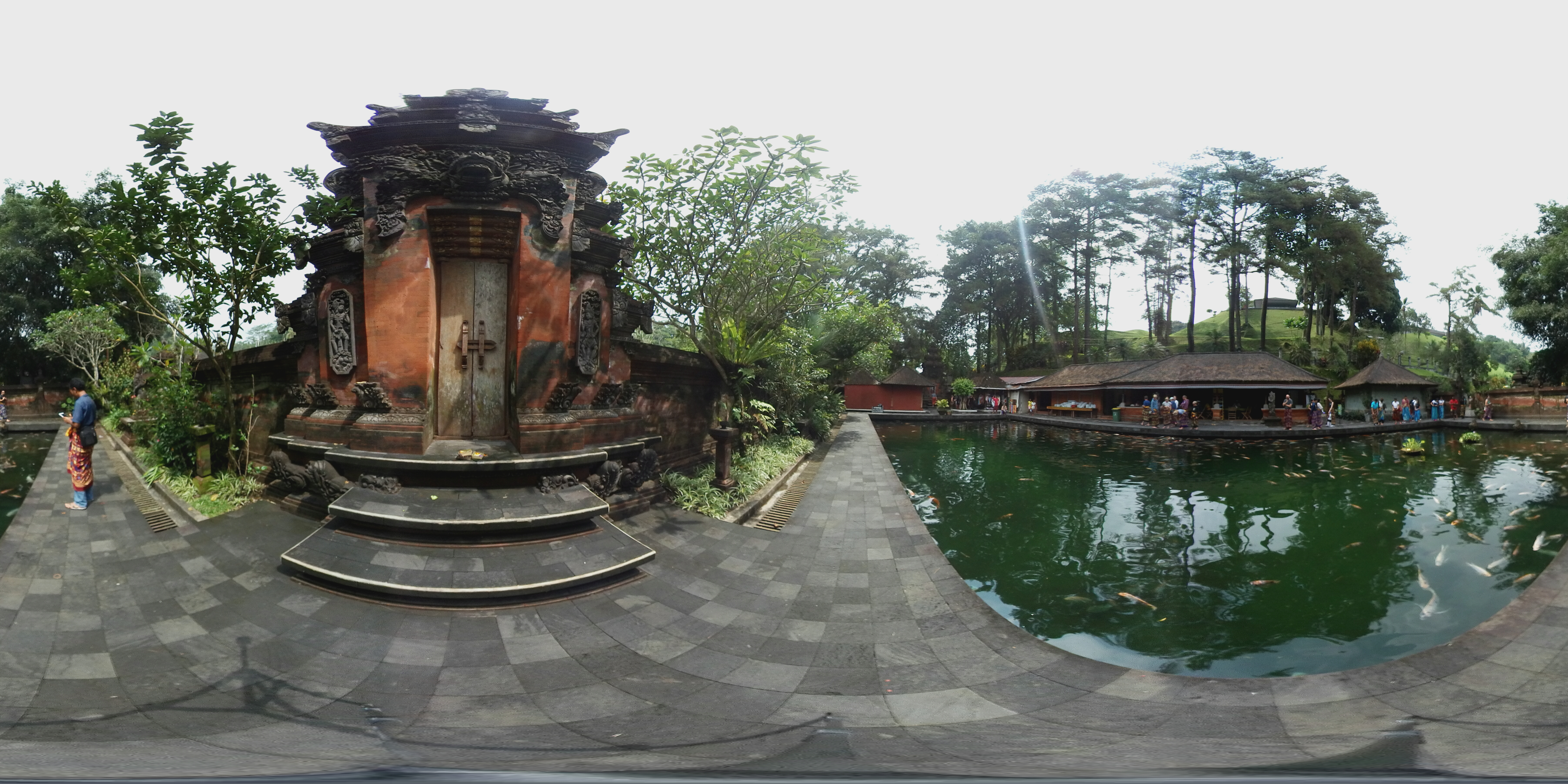 Koi Fish Pond