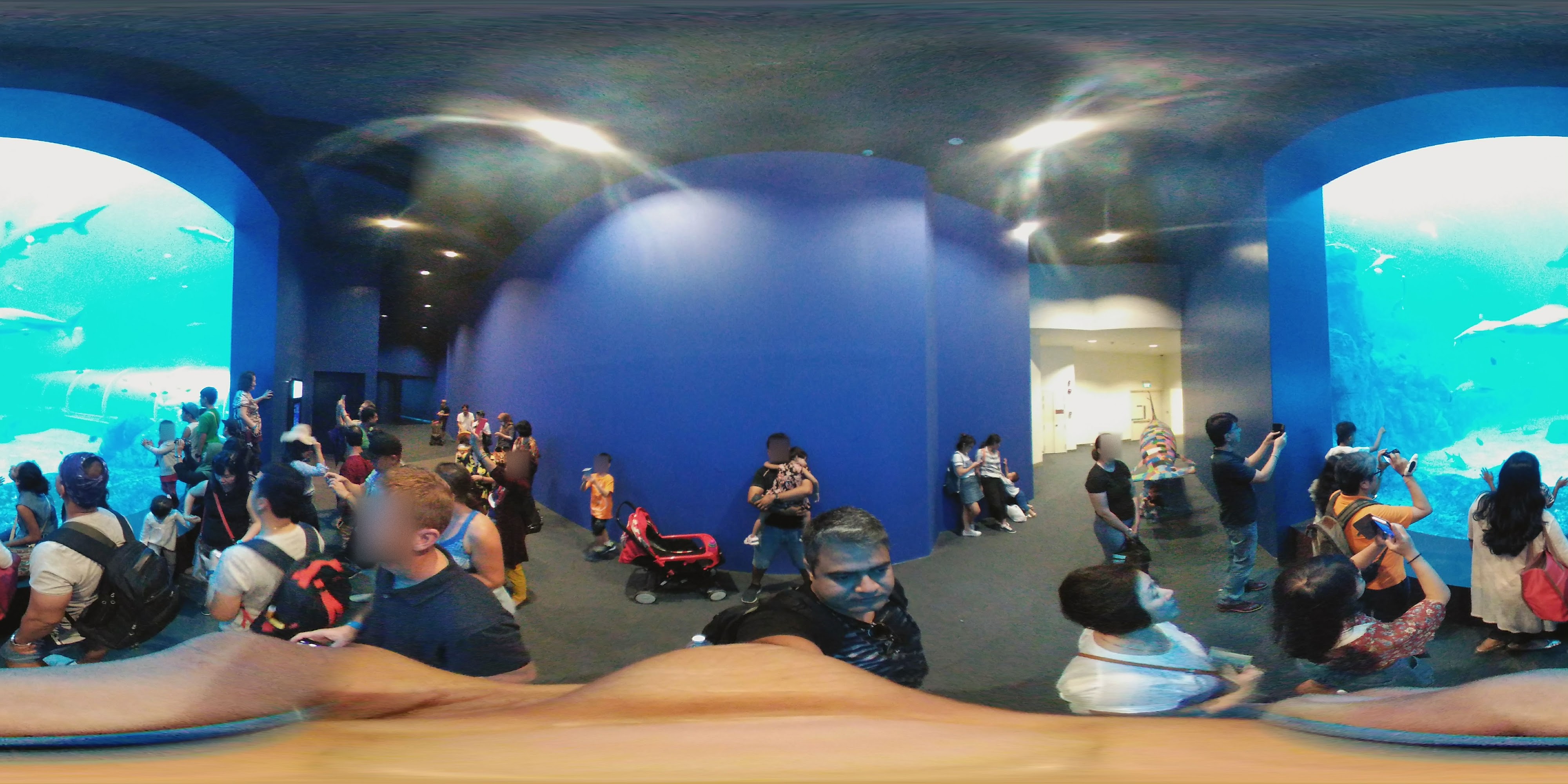 Aquatic Exhibit Tunnel Experience