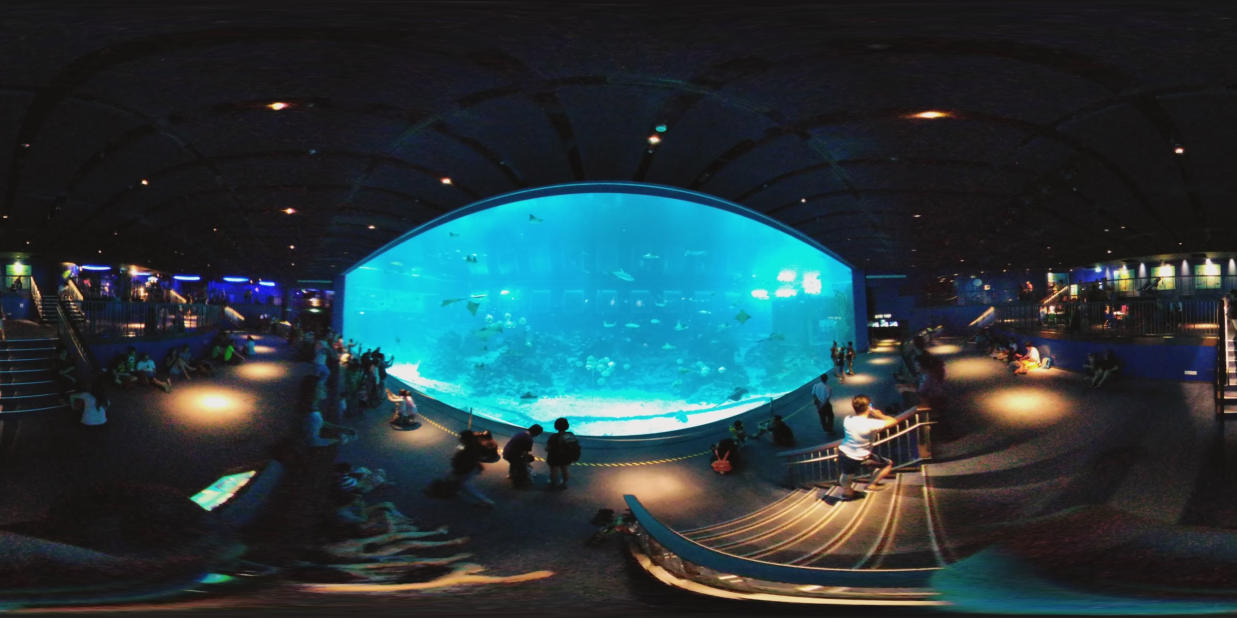 Enlightening Underwater Aquarium Experience
