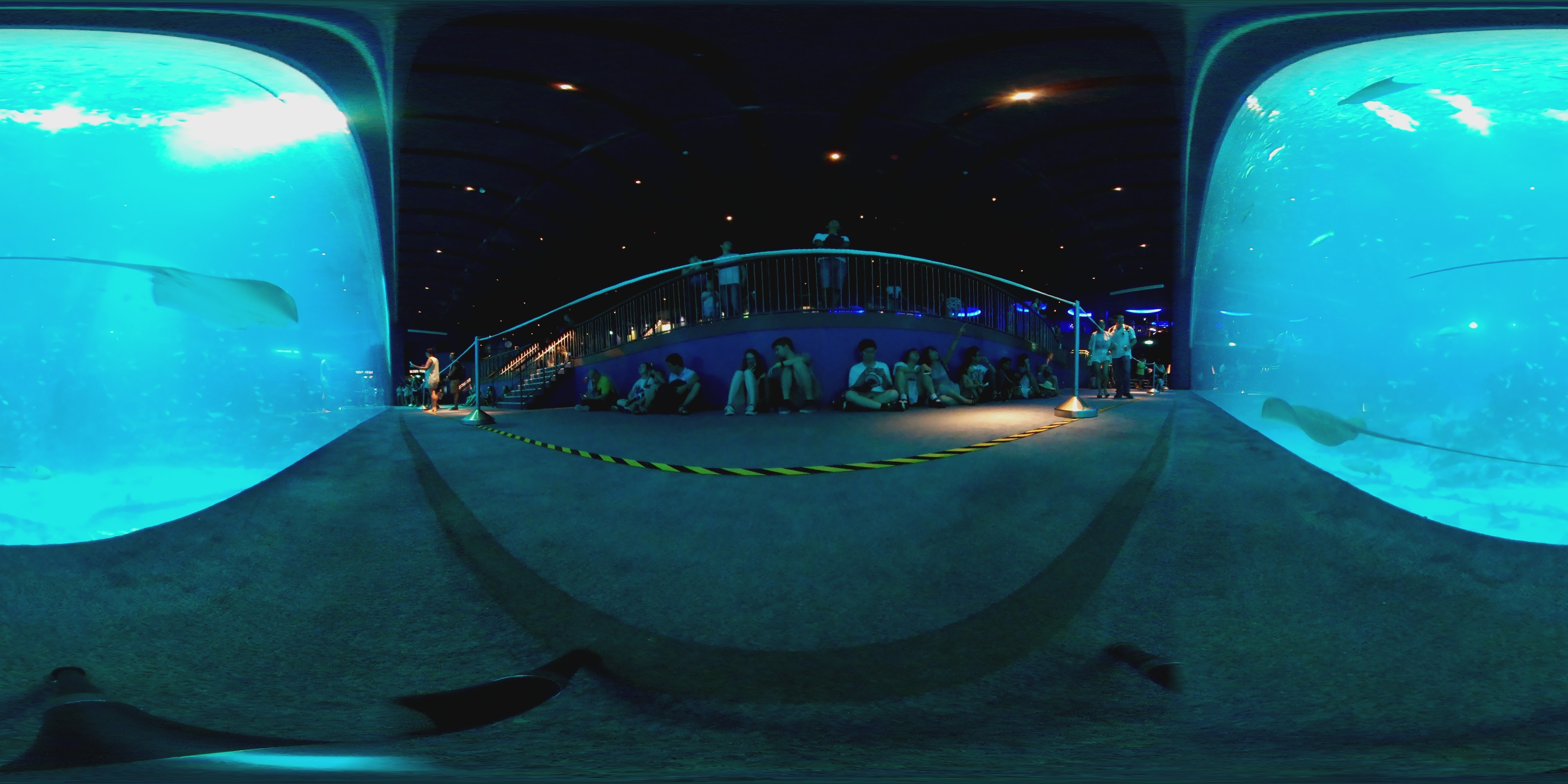 Underwater Tunnel Aquarium Experience