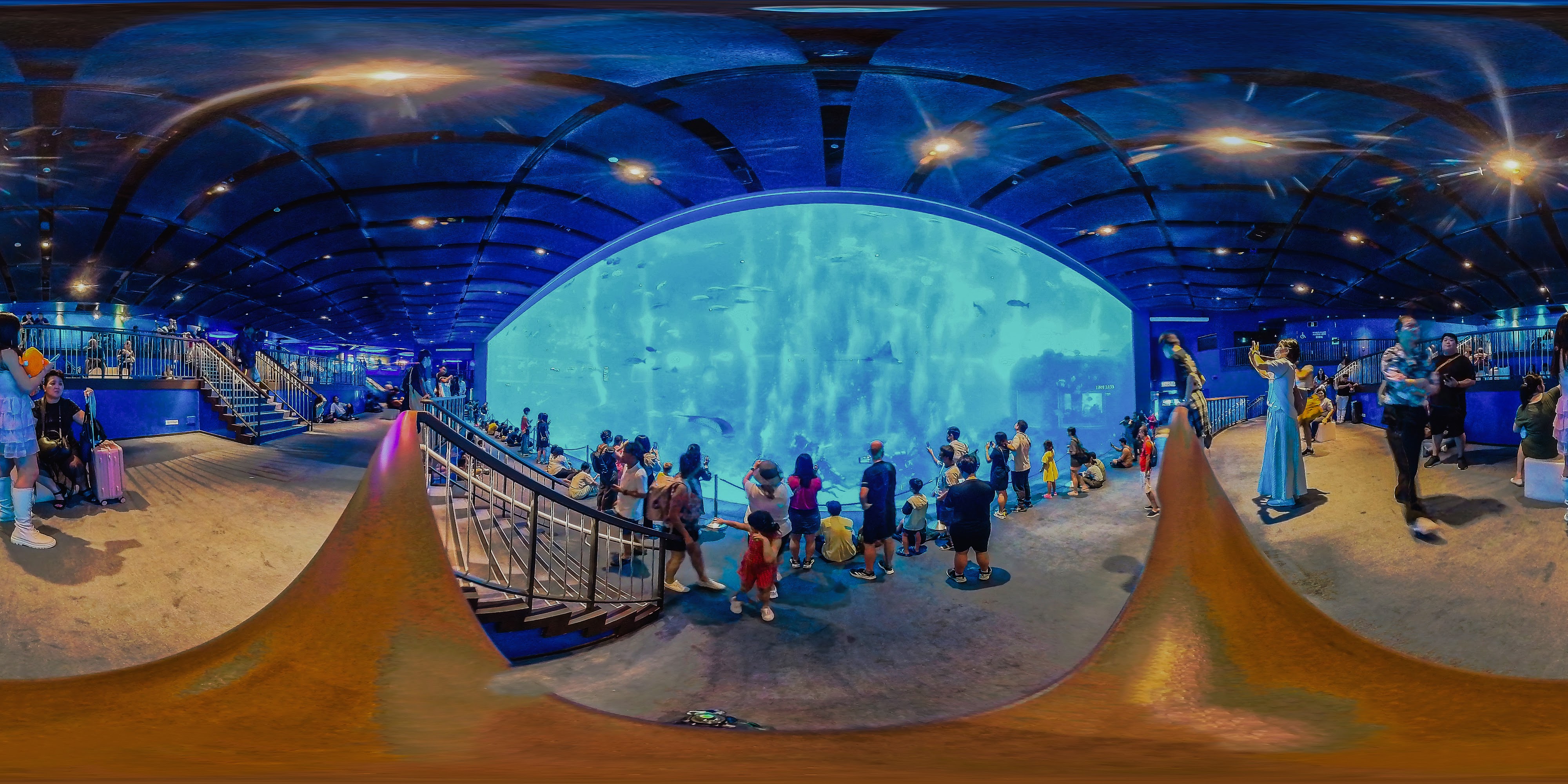 Underwater Aquarium Galleries