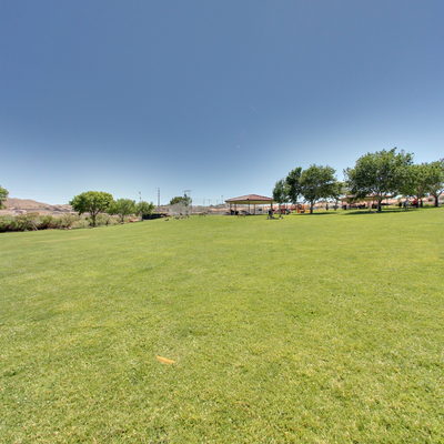 Field