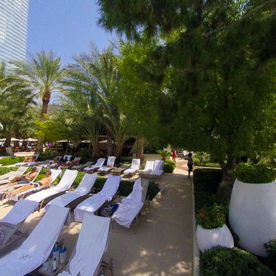 Pool Beds