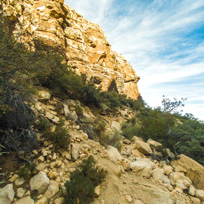 Trail 2