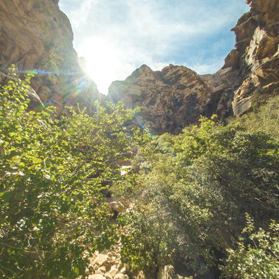 Trail 3