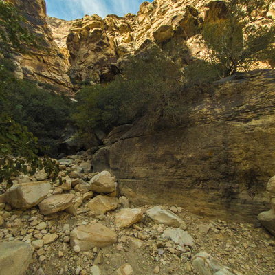 Trail 4