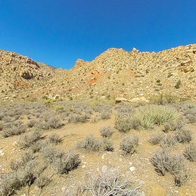 Walking Trail