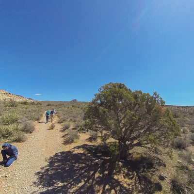 Walking Trail
