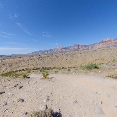 Trail
