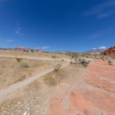 Trail